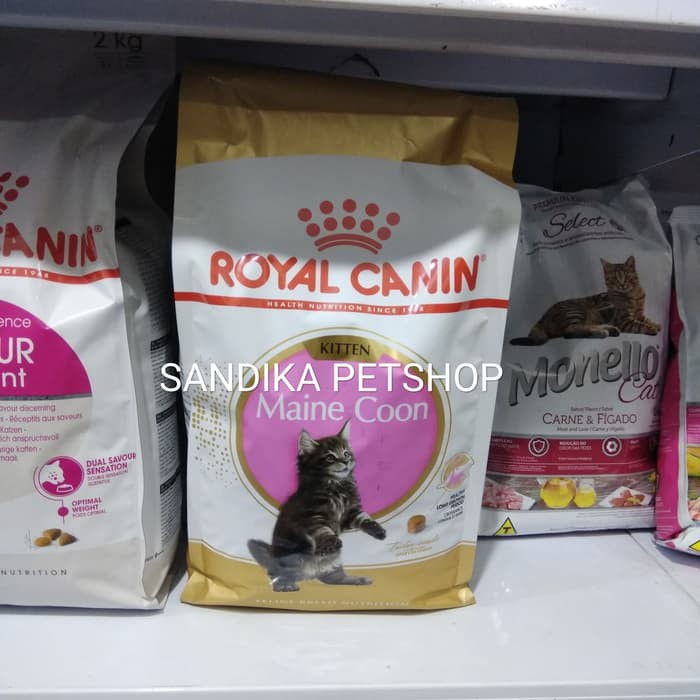 Sd201makanan Kucing Royal Canin Maine Coon Kitten 2 Kg Freshpack