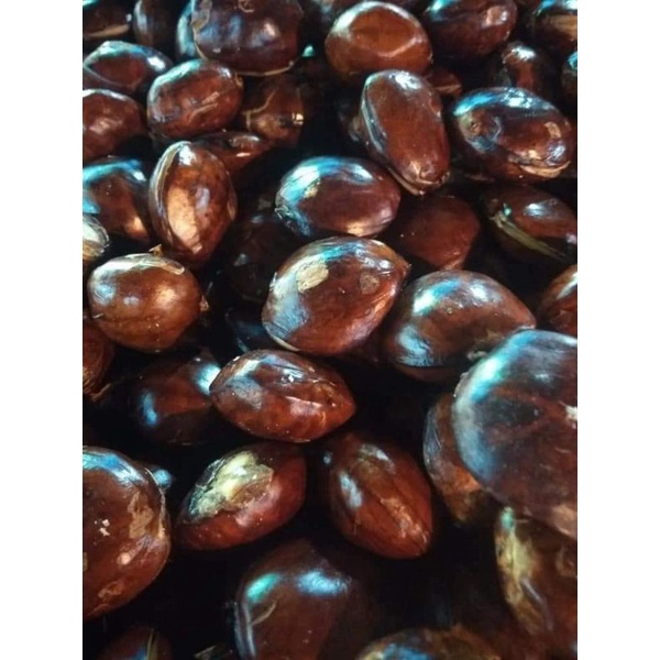 

JENGKOL BENGKULU TUA 1kg