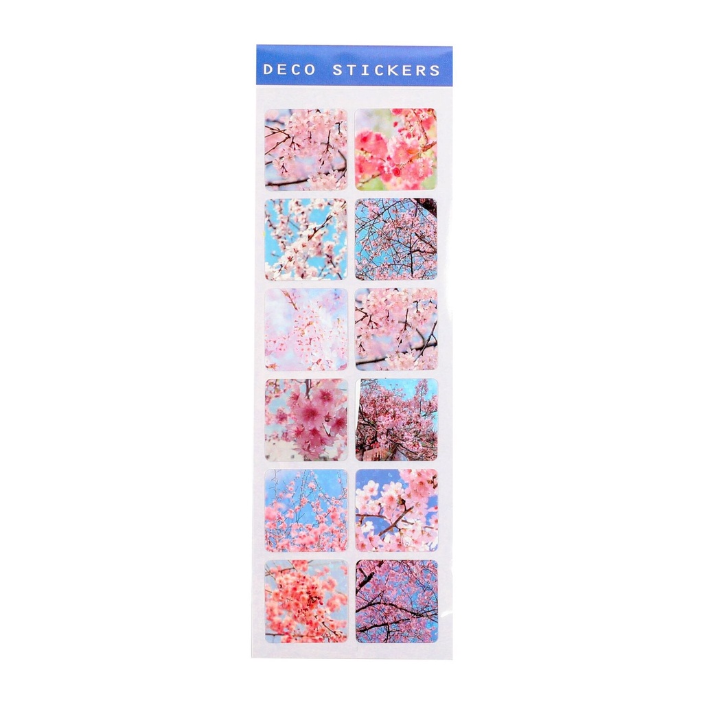 

SWEETIES - STICKER SHINNY TYPE H IMPOR STIKER