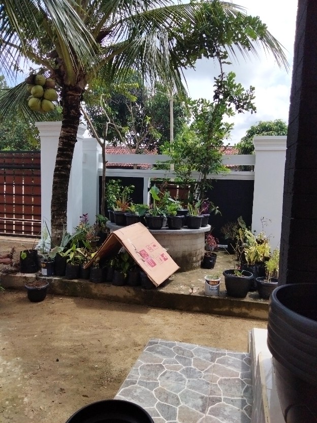 Batik Wanita Modern Batik Kerja Seragam Batik Baju Batik Wanita