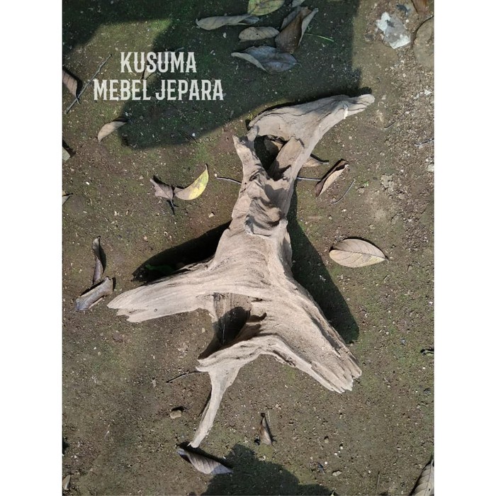 Bahan Aquascape Akuarium Akar Kayu Jati Solid No.3 (Panjang 40cm)