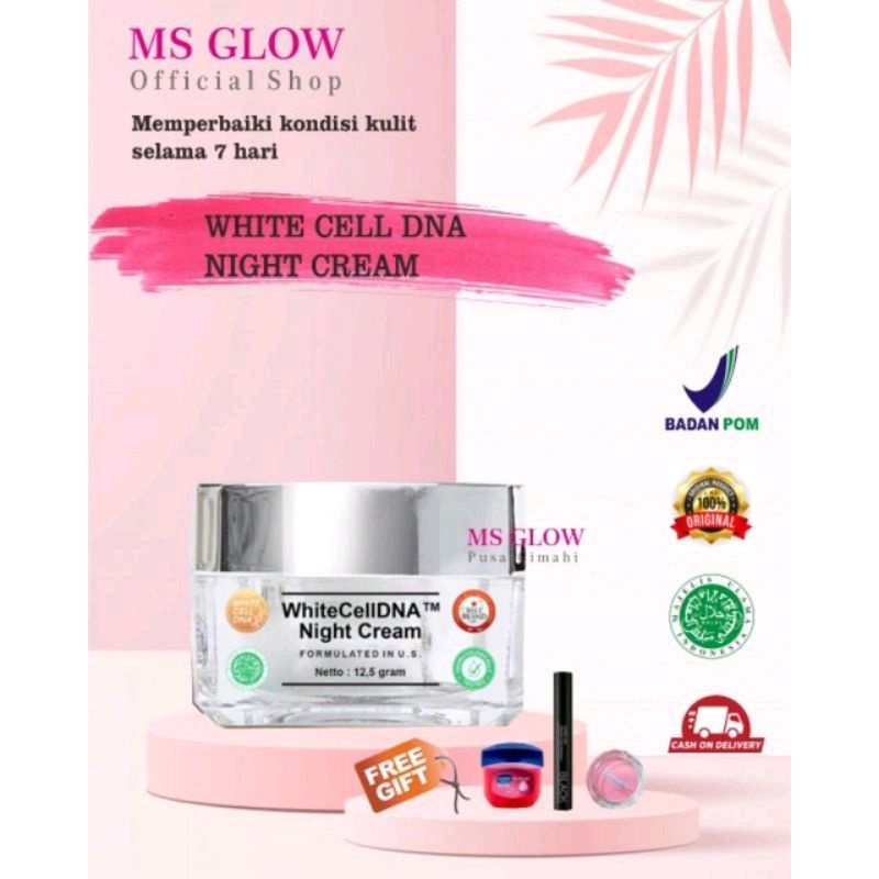 Night Cream White Cell DNA Original bisa cod