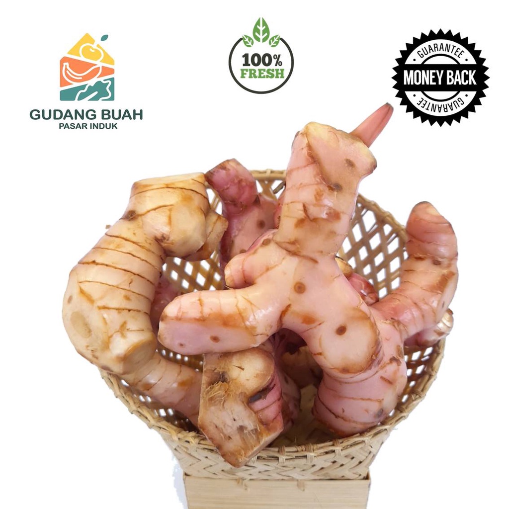 

Lengkoas Merah Segar | Lengkuas Fresh 1kg