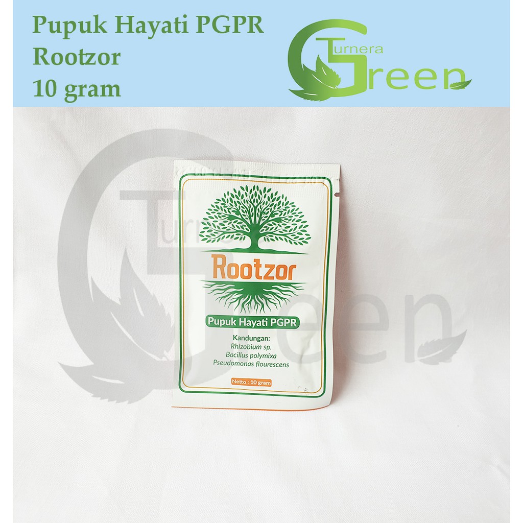 Pupuk Hayati PGPR Rootzor 10 gram Mengandung Rhizobium