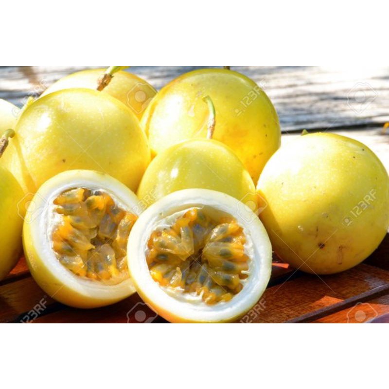 

Buah Markisa Segar 1kg Markisa Kuning Segar Asam manis