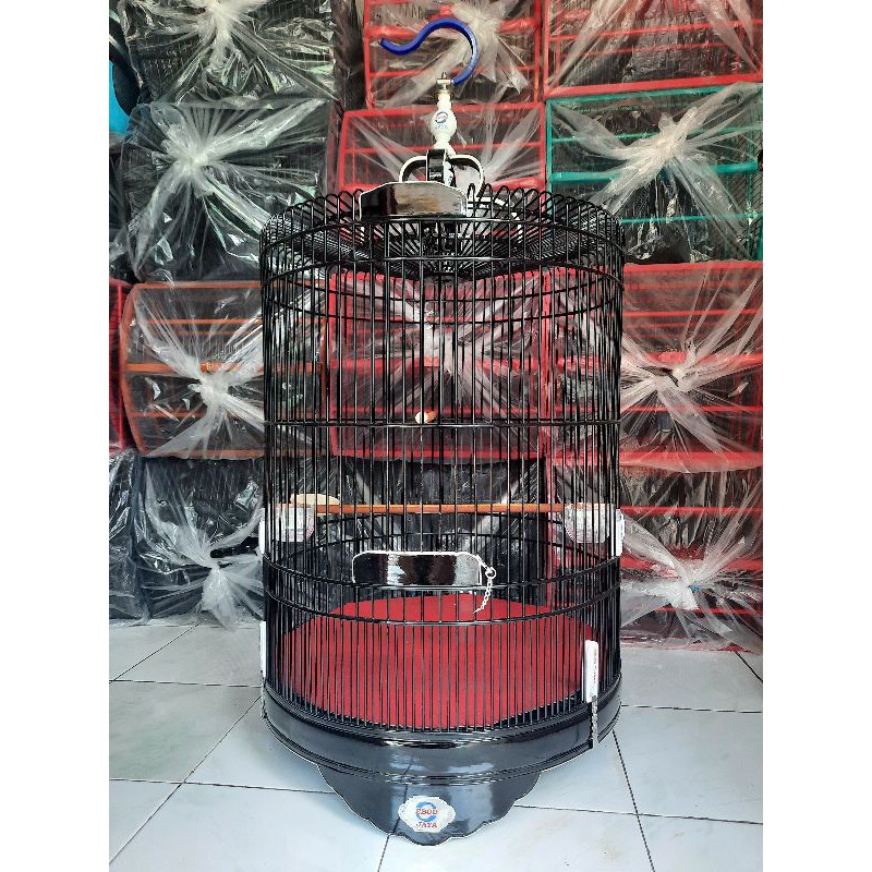 sangkar murai ebod jaya