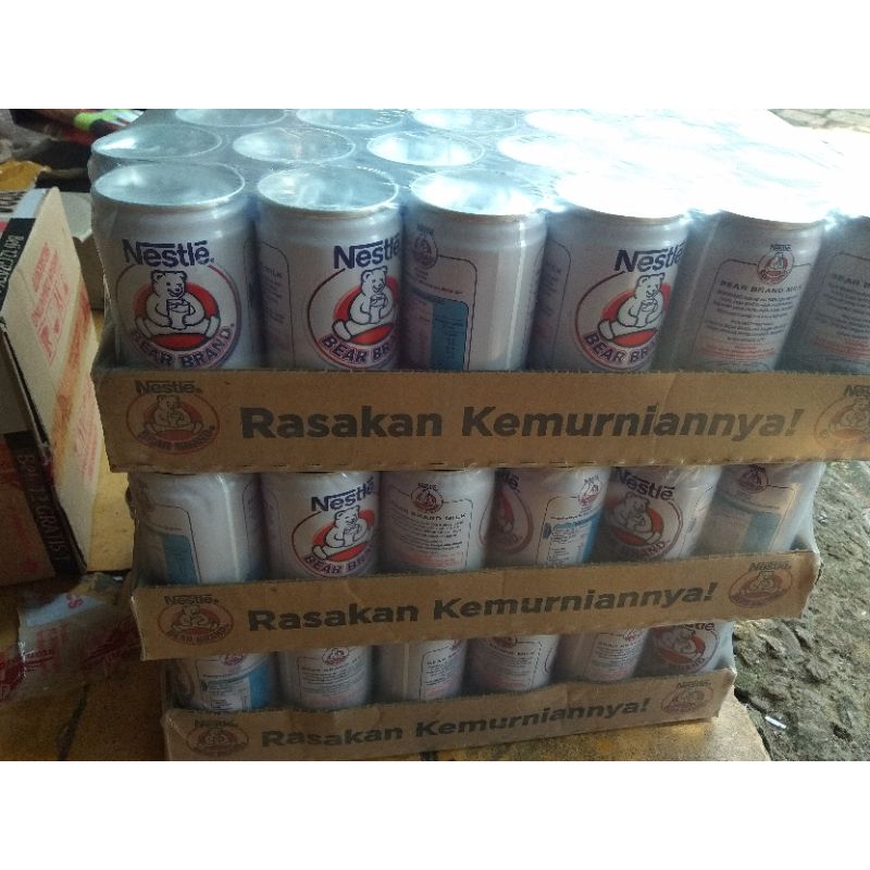 

bear brand