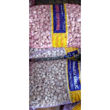

Bawang dan Brambabg