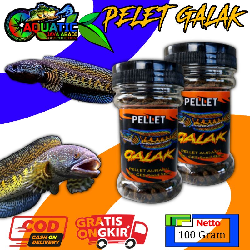 Pellet Auranti 100 Gram Pellet galak Pellet channa Auranti