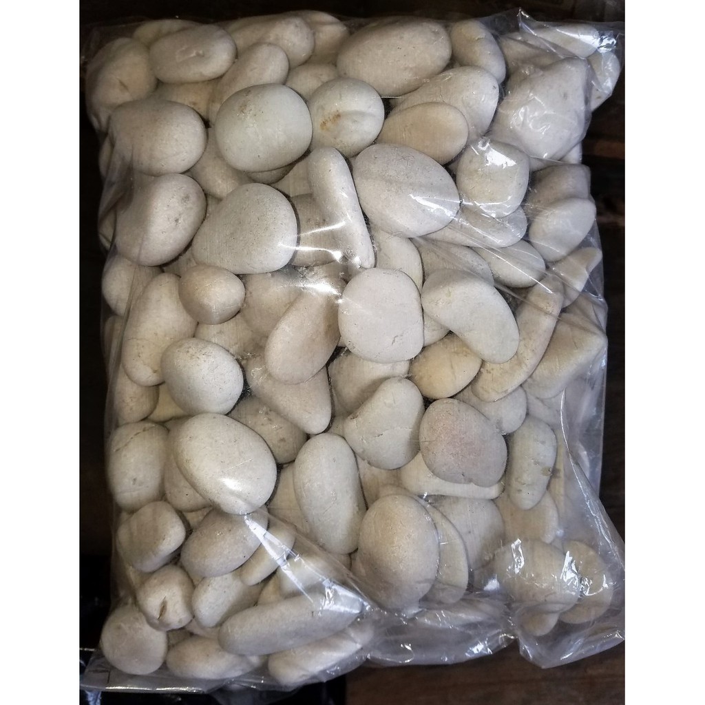 BATU TAMAN / BATU ALAM / BATU AQUARIUM KORAL PUTIH BSR 4KG