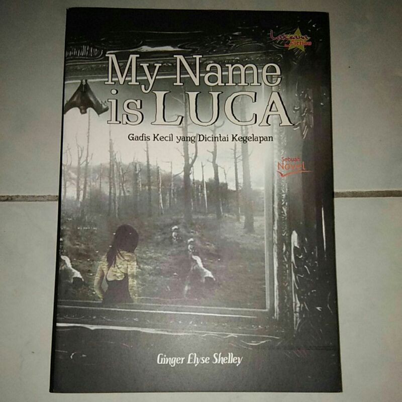 Novel Bekas "My Name is Luca"