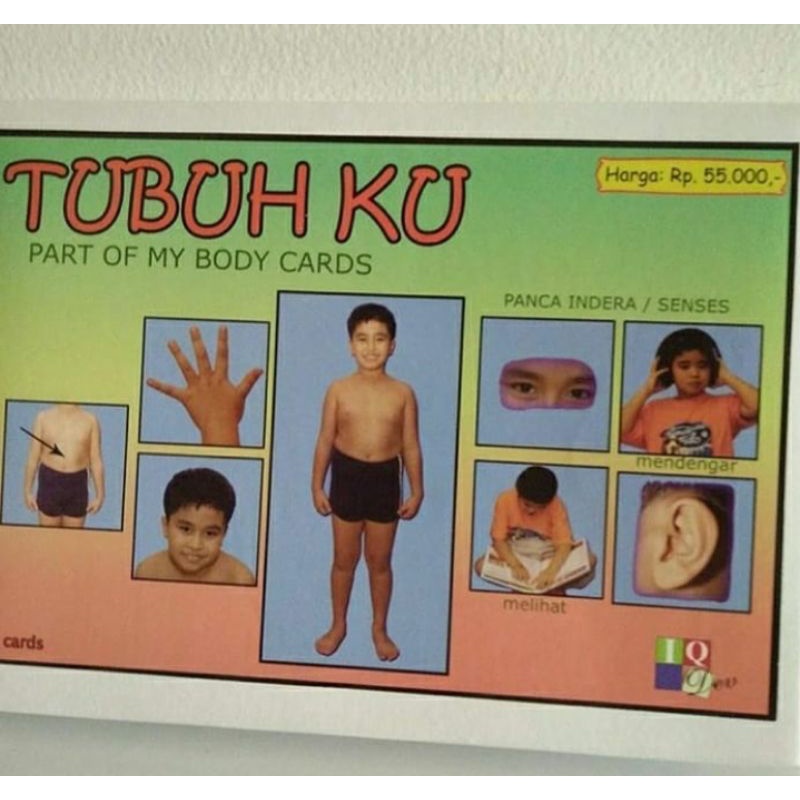 kartu gambar iq dev tubuhku
