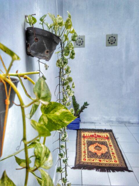 Poster Kayu Al-108