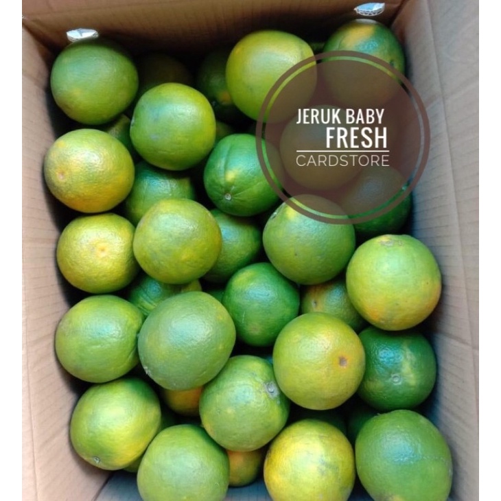 

Buah Jeruk Baby Manis Fresh Segar Banyak Air - 1 Kg