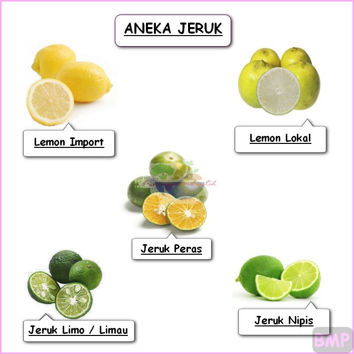 

BUAH JERUK LEMON LIMAU NIPIS PERAS IMPORT LOKAL MANIS SEGAR 1KG