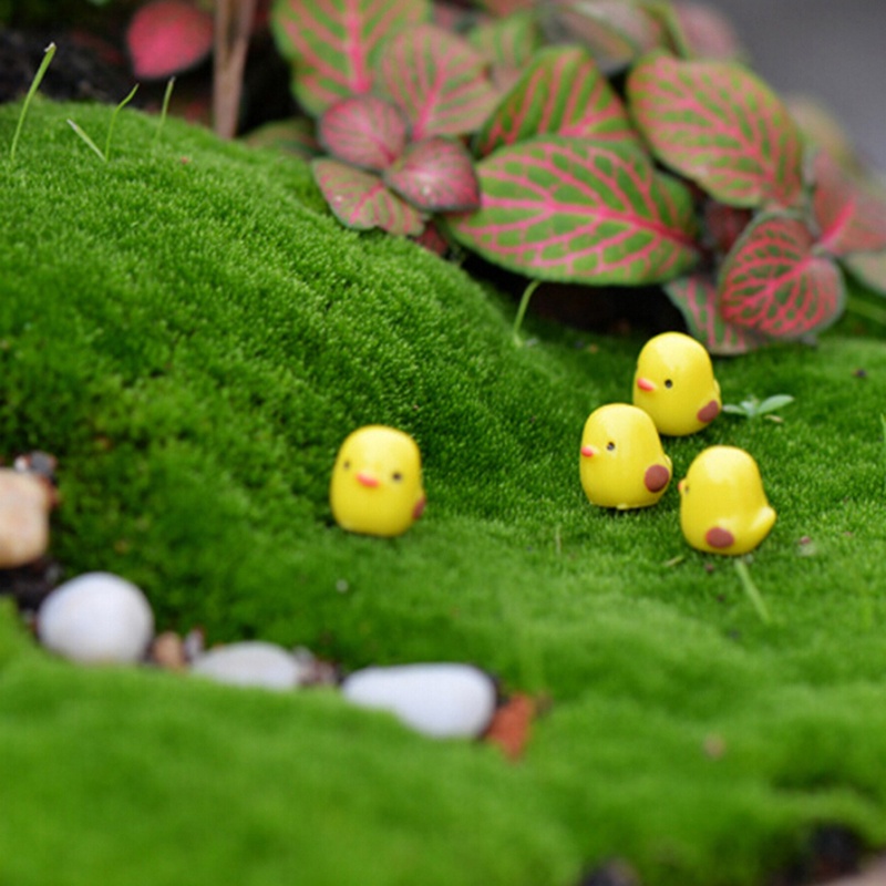 (dreamdreaming.id) 5pcs Miniatur Ayam Kuning Untuk Dekorasi Taman mini / Rumah Boneka / Terrarium DIY