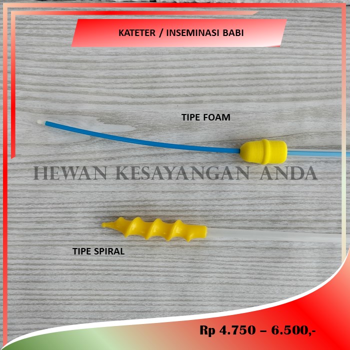 Kateter Inseminasi Babi  - Pig Insemination Catheter