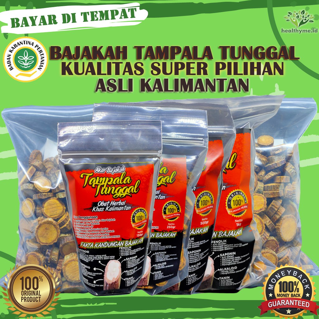 ♨MURAH♛Kayu Akar Bajakah Tampala / Akar Bajakah Tunggal Tampala Asli Kalimantan °