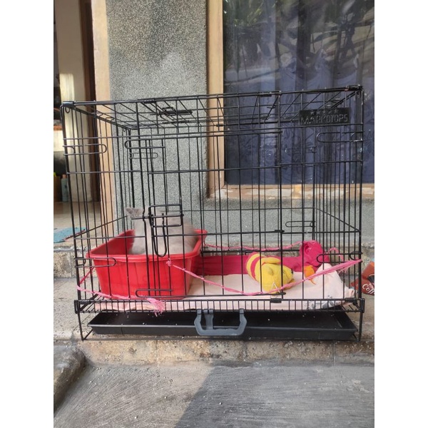Kandang Kucing Second - Kandang Kucing Bekas