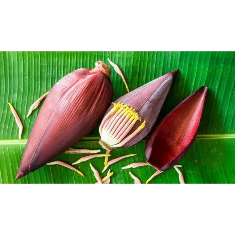 

Jantung pisang fresh500 gr/murah