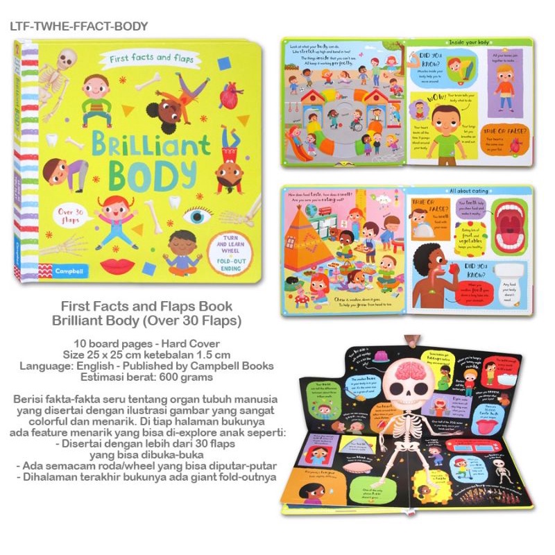 First Facts and Flaps Book