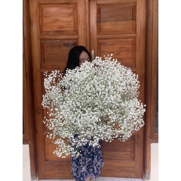 Bunga Baby Breath Asli Import per Tangkai Fresh Flower