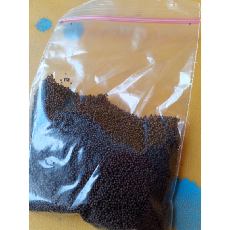 pakan cupang prima feed 500 20 gram beli 10 gratis 1