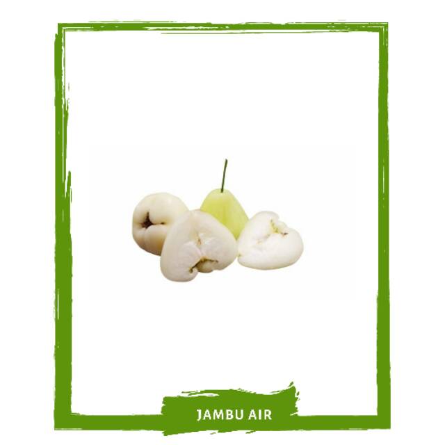 

Jambu Air / Buah Buahan Segar By Mallahrizwa