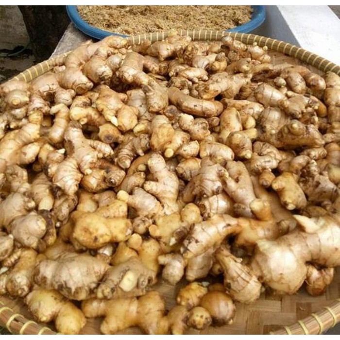 

JAHE EMPRIT SEGAR 500 gr [COD]