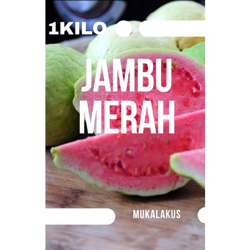 

BUAH SEGAR JAMBU BIJI MERAH UKURAN JUMBO SEKILO ISI 2/3/4 BUAH