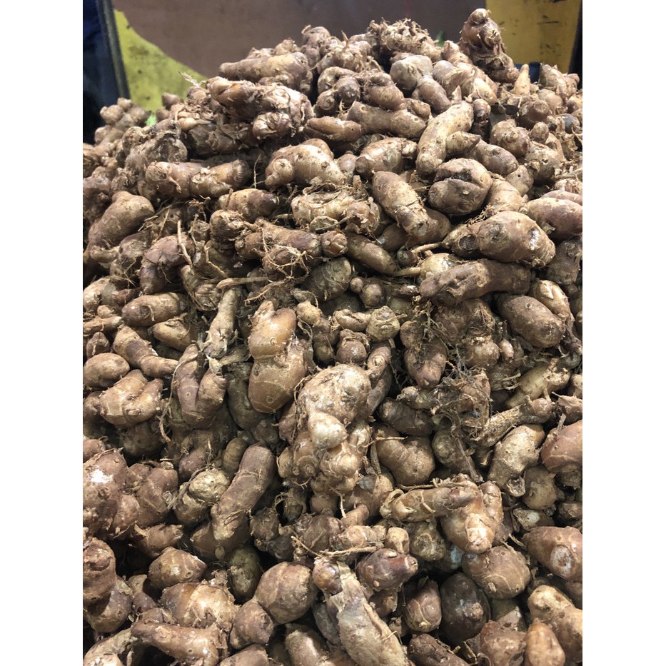 

Langsung Order Kencur / cikur super 1kg - 1 kg terbaik
