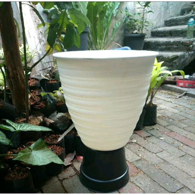 Pot bunga TAWON PIRUS 351 putih