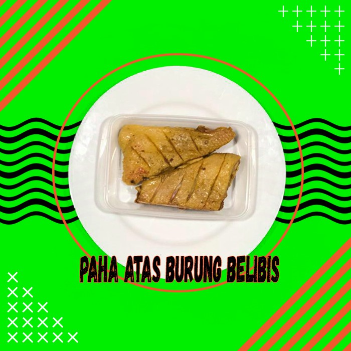 

Paha Atas Besar Burung Belibis isi 2