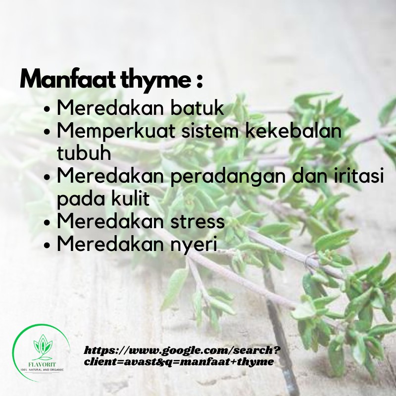 Daun Thyme Kering Dried Leaves Bumbu Dapur Bahan Makanan Organik Penyedap Rasa Non msg Rempah Murni