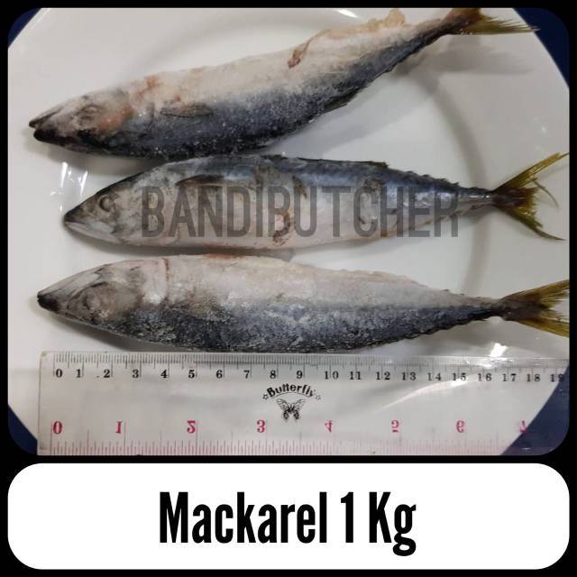 Ikan Makarel - Ikan Salem Sarden Fresh - Mackarel Fish Frozen Bandi