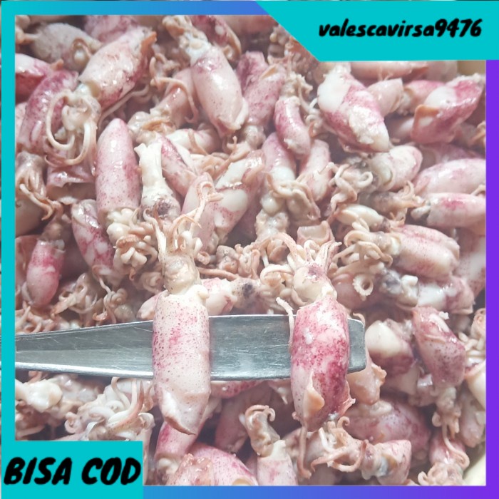 

⭐BISA COD⭐ ikan asin cumi beby/cumi asin beby/beby cumi asin 500gr - 1 sampai 4cm