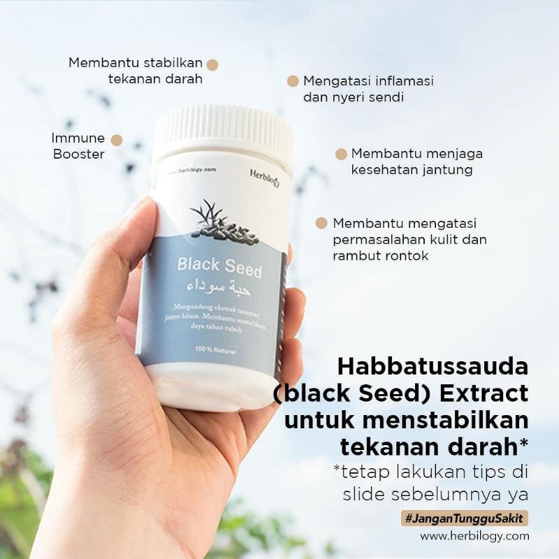 Herbilogy Capsule Habattusaudah Jinten Hitam Asi booster minuman kesehatan