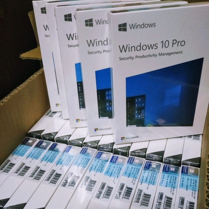 MURAH Windows 10 Pro ORIGINAL - FPP Retail - USB Installer Resmi Indonesia