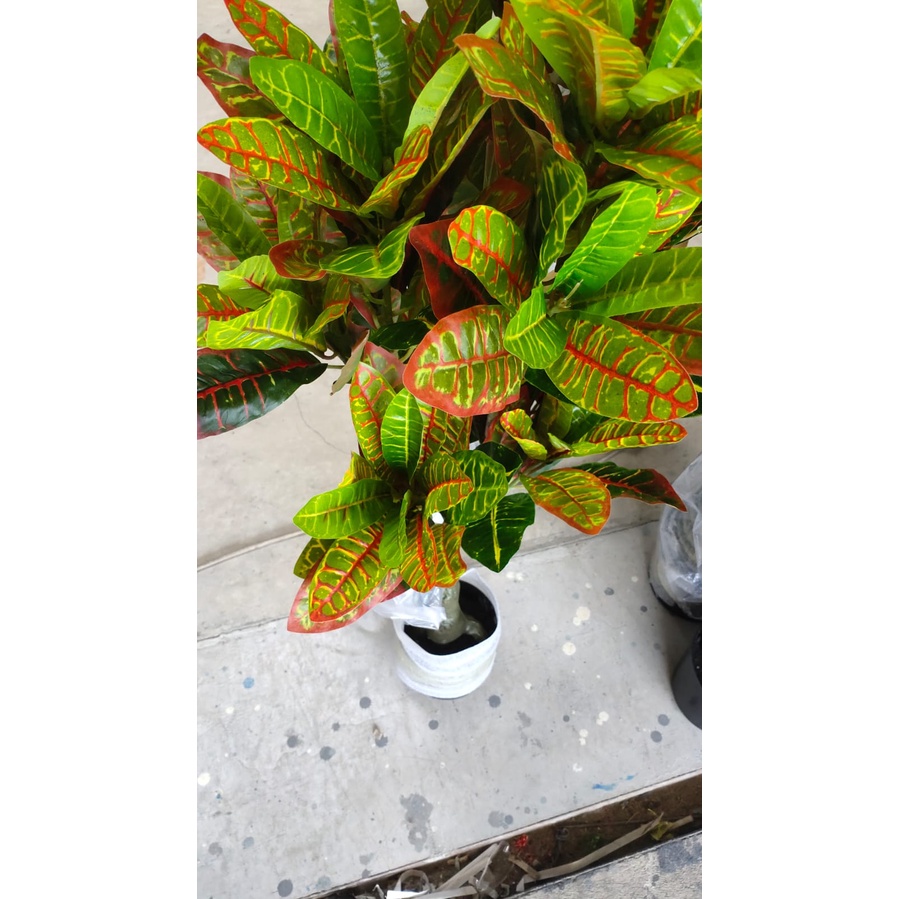 AND / COD / Tanaman Pohon Hias Plastik Dekorasi Ruangan Rumah Artificial Croton Plant Tanaman Hias PBP81