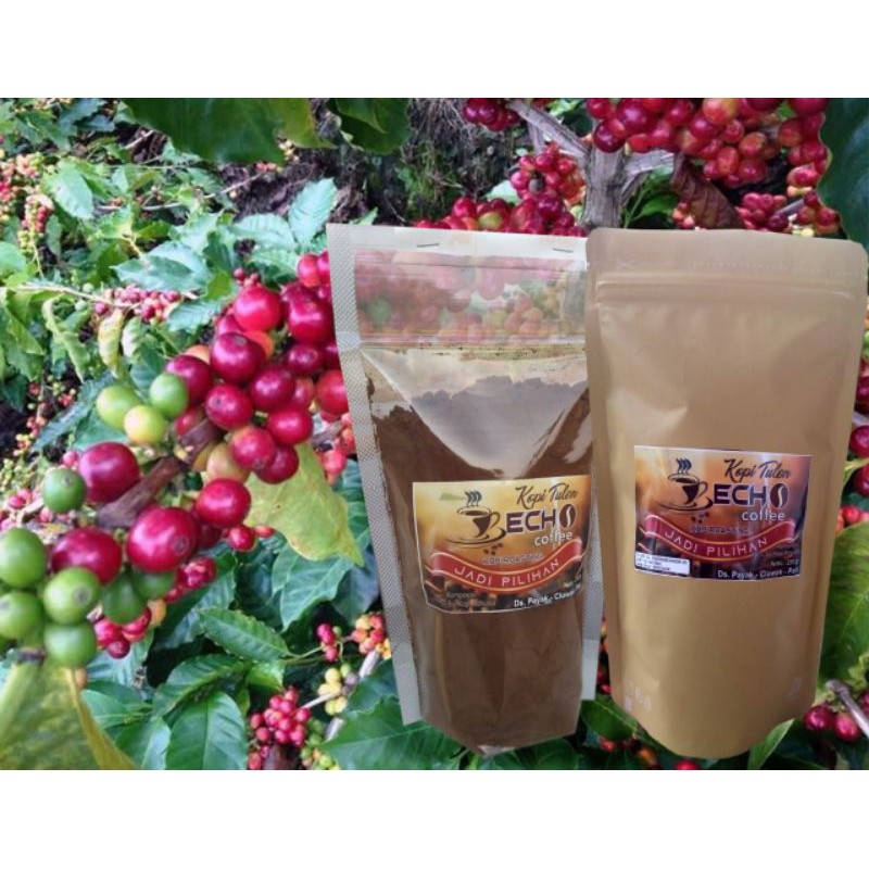 

kopi tulen