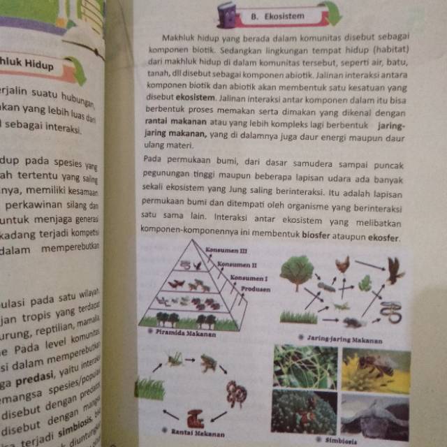 JUARA OSN Olimpiade Sains Nasional IPA Untuk SD/MI (LM)