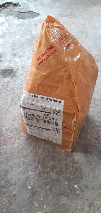 Bahan Bonsai Pohon Sisir / Kaliage Medium Berkarakter
