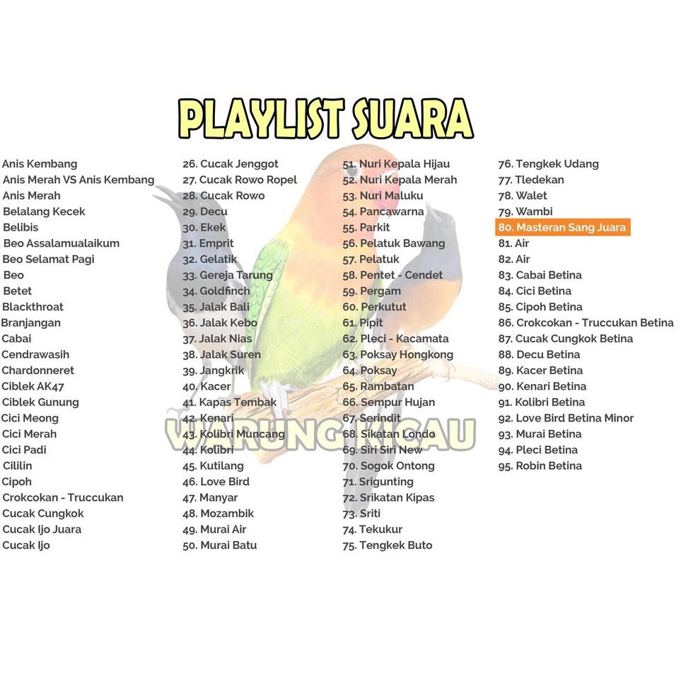 Lagi Trending Masteran Burung Kicau Speaker Audio Murai Cici