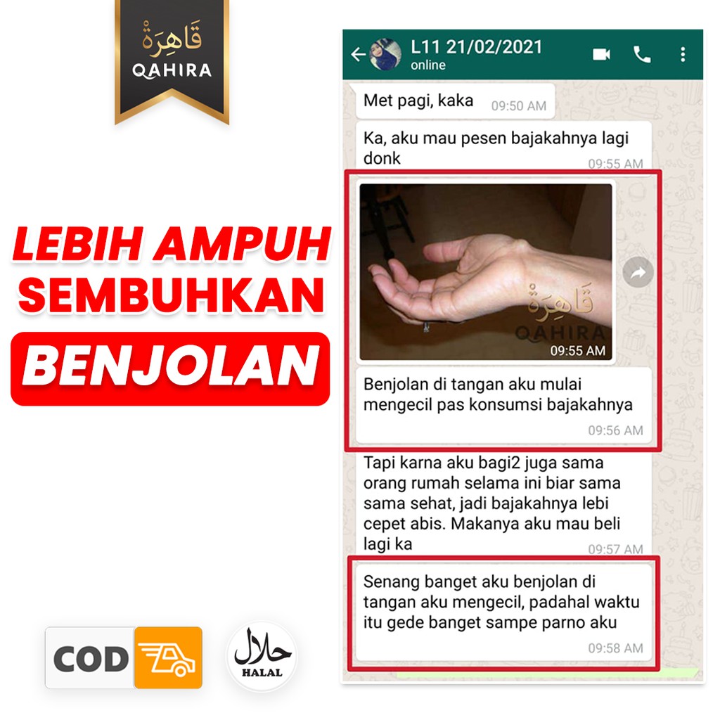 Teh Bajakah Qahira Kalimantan Obat Bajakah Asli Original Teh Celup Bajakah Akar Bajakah Kayu Bajakah