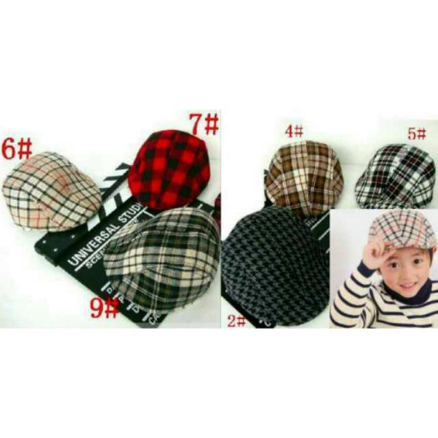 Topi pet Anak blueberry Import Topi lukis anak topi maherzein