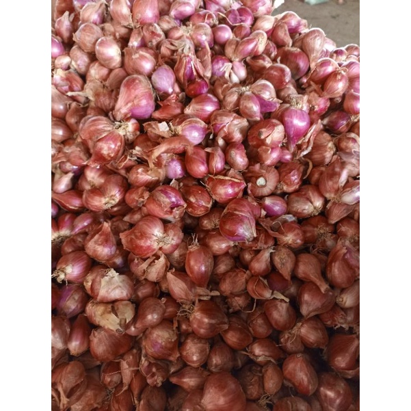 

Bawang merah