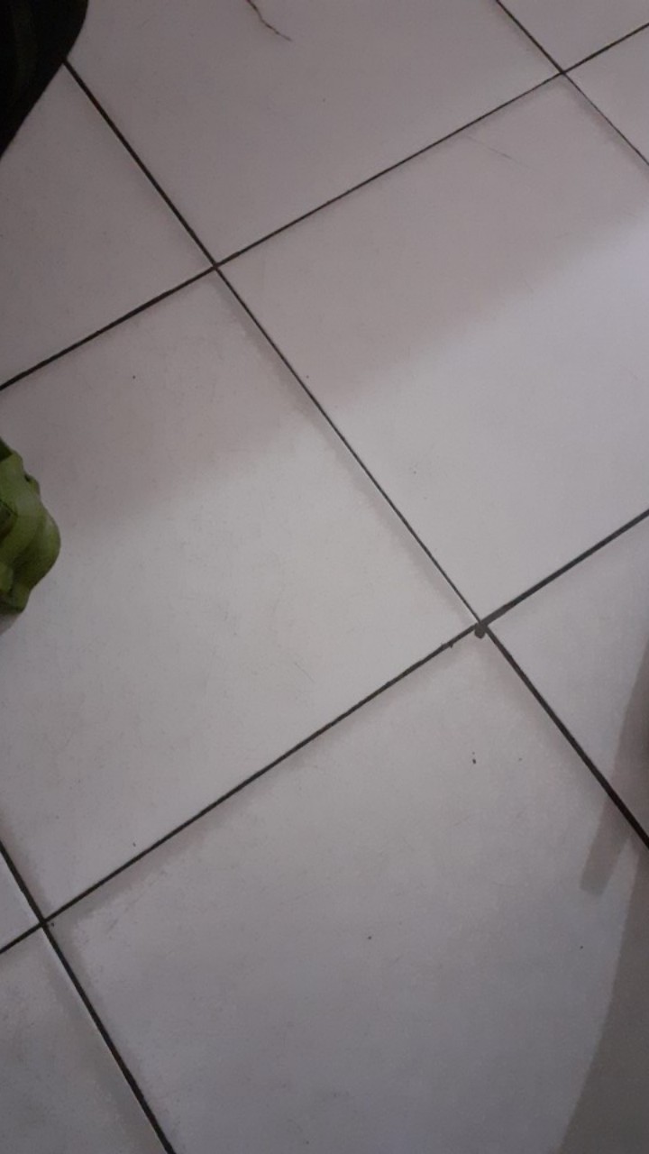 (termurah Terbaik) Kaligrafi Kulit Ukir Jepara Original 17.500