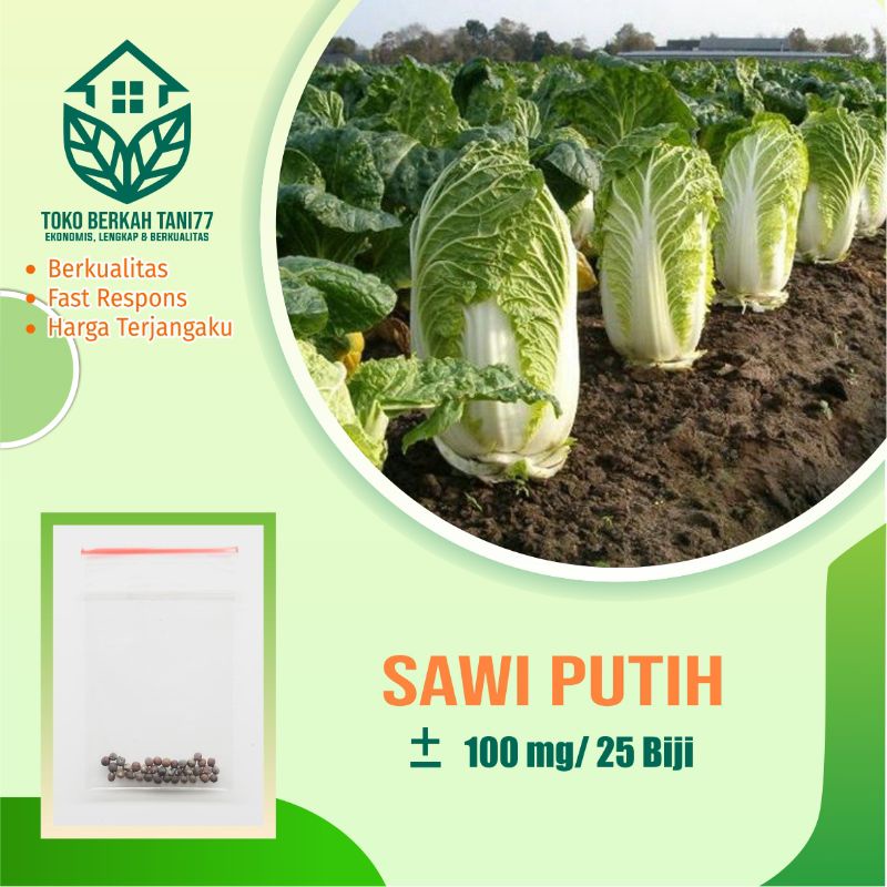 BENIH SAYURAN UNGGUL TERLENGKAP TERJANGKAU BIBIT KUBIS TOMAT SAWI TERONG CABE BUNCIS BAYAM KANGKUNG-Sawi putih