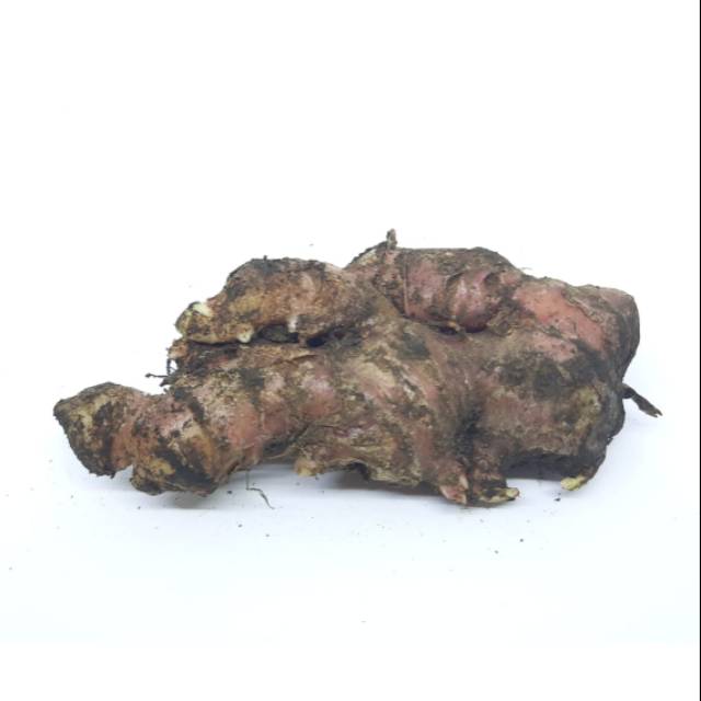 

JAHE MERAH FRESH 250GR DAN 500GR