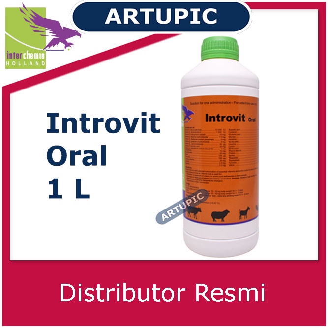 Introvit Oral 1 Liter Multivitamin Lengkap Asam Amino Ternak Hewan Vitamin Holland Mempercepat Pertumbuhan dan Meningkatkan Produksi Telur Daya Tahan Tubuh Mengatasi Stres Stamina Daging Telur Susu Ayam Sapi Kambing Babi Domba